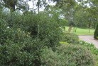 Geraldtonresidential-landscaping-35.jpg; ?>