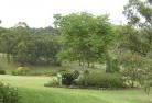Geraldtonresidential-landscaping-40.jpg; ?>
