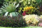 Geraldtonresidential-landscaping-58.jpg; ?>